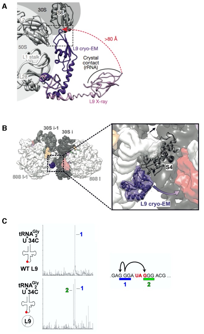 Figure 17.