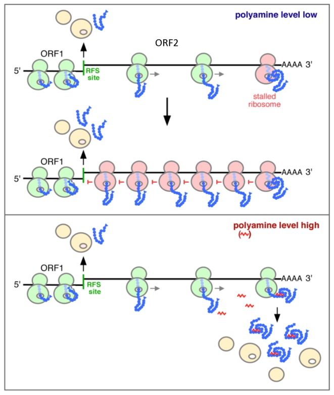 Figure 10.