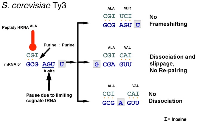 Figure 8.