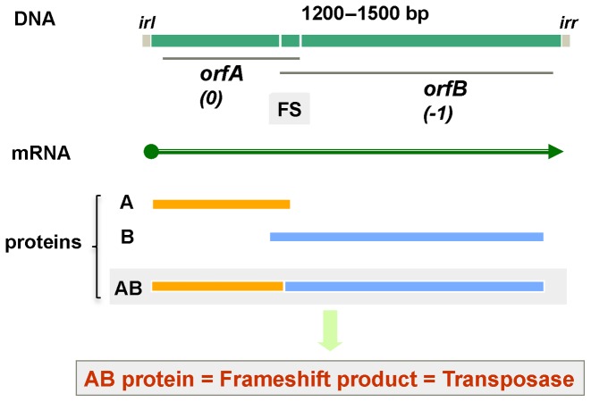 Figure 6.