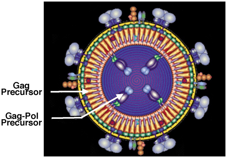 Figure 2.