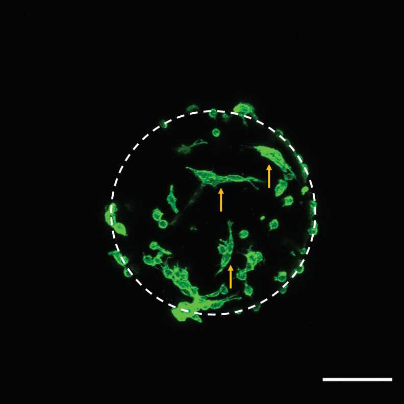 FIG. 7.