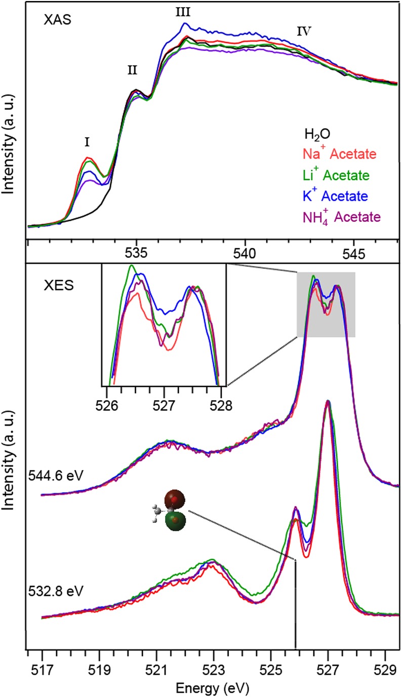 FIG. 3.