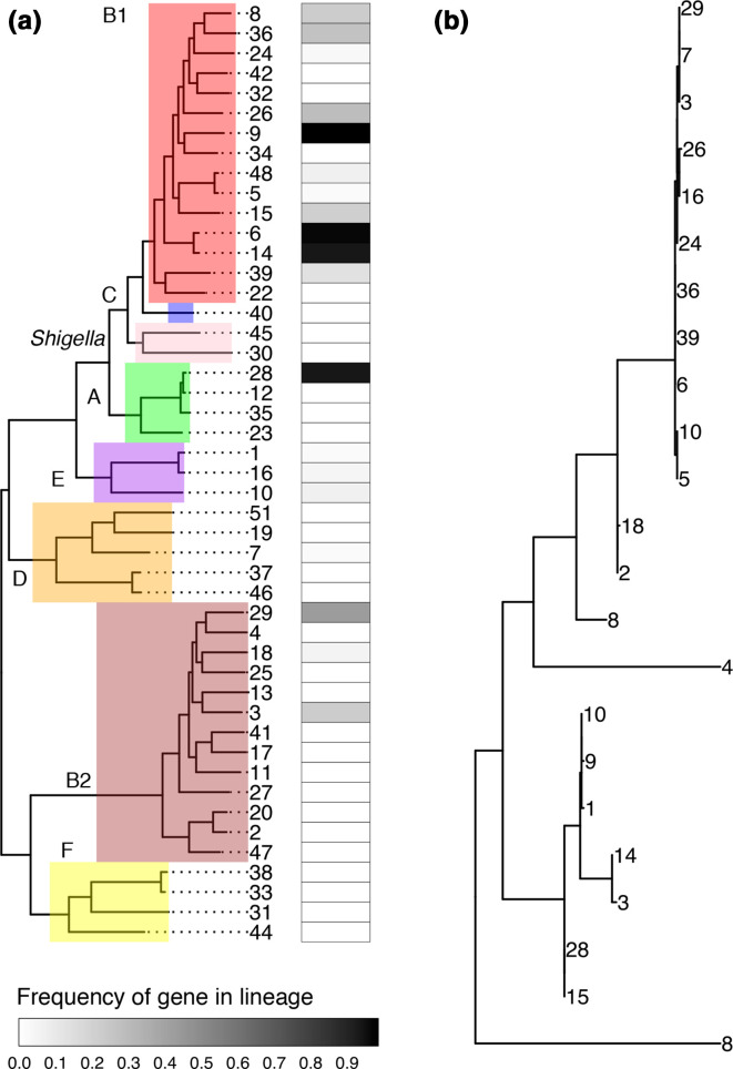 Fig. 5.