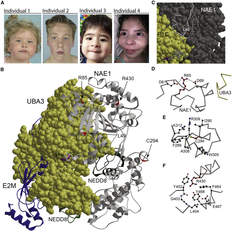 Figure 1