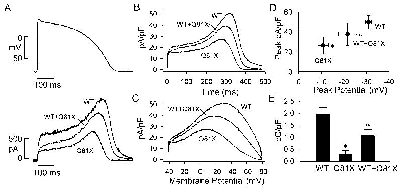 Fig. 9