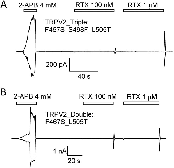 Fig. S5.