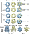 Figure 4—figure supplement 2.