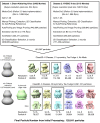 Figure 1—figure supplement 3.