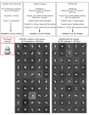 Figure 4—figure supplement 3.