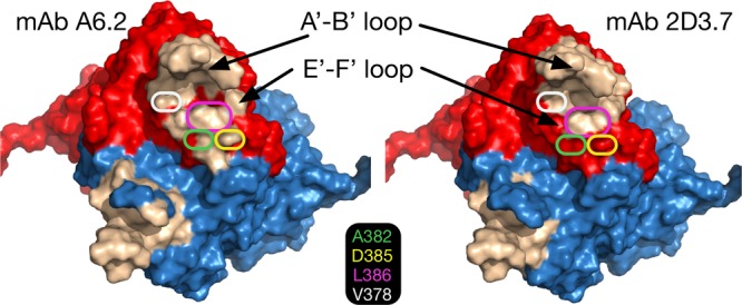 FIG 6 