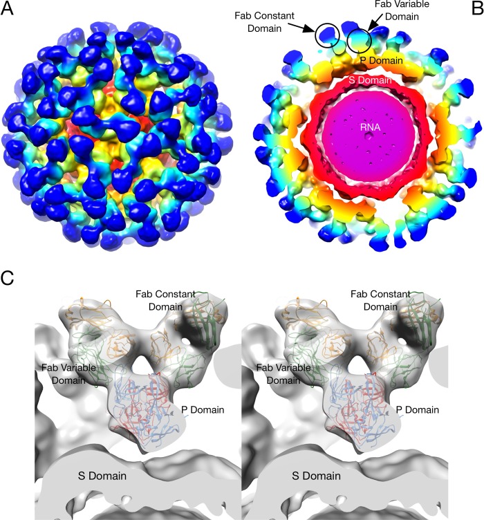 FIG 4 