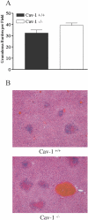 FIG. 8.