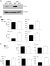 FIG. 5.