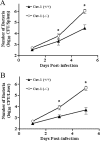 FIG. 2.