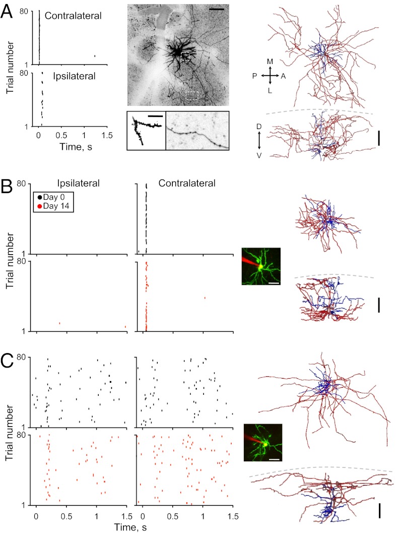 Fig. 2.