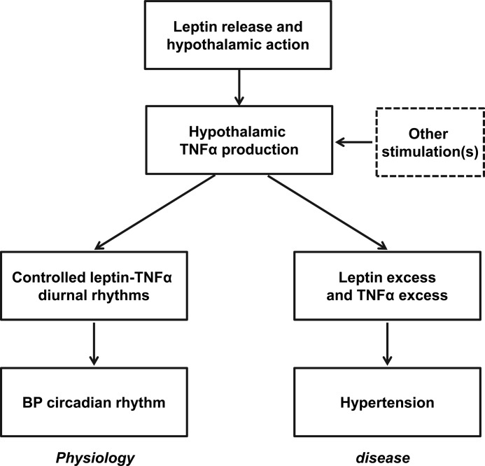 FIGURE 7.