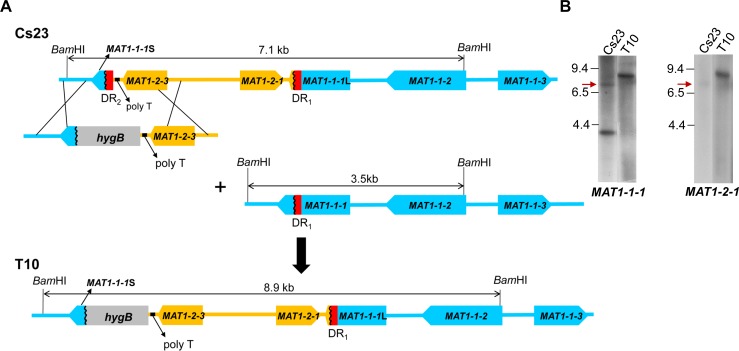 Fig 3