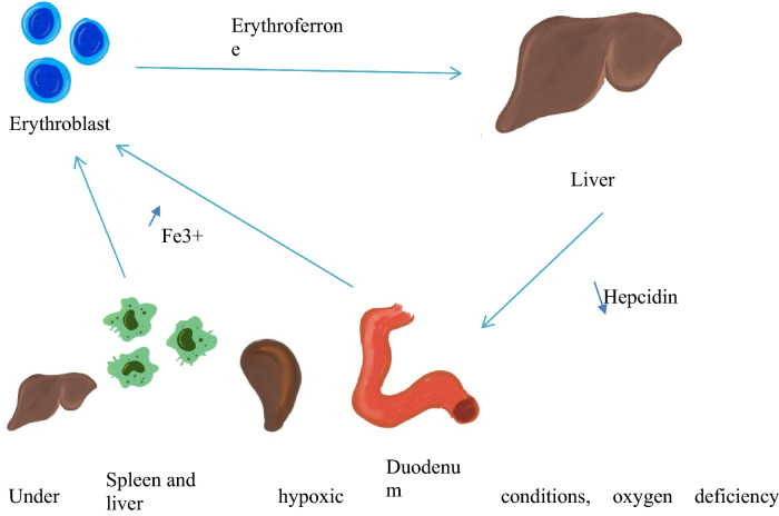 Fig. 2