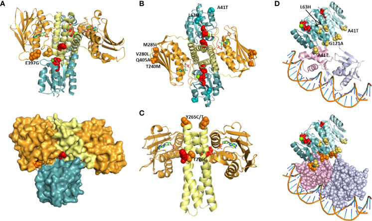 Figure 3