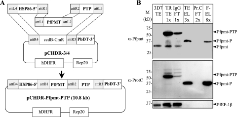 FIG. 4.