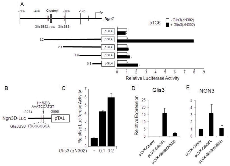 Fig 3