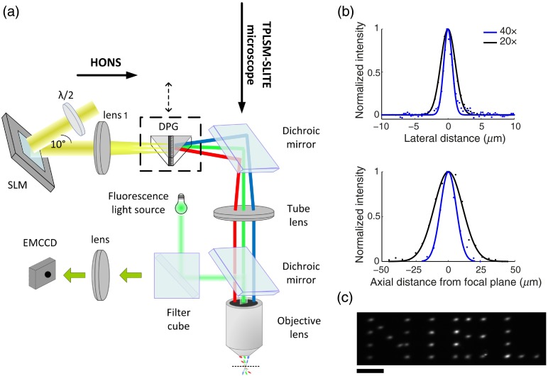 Fig. 1