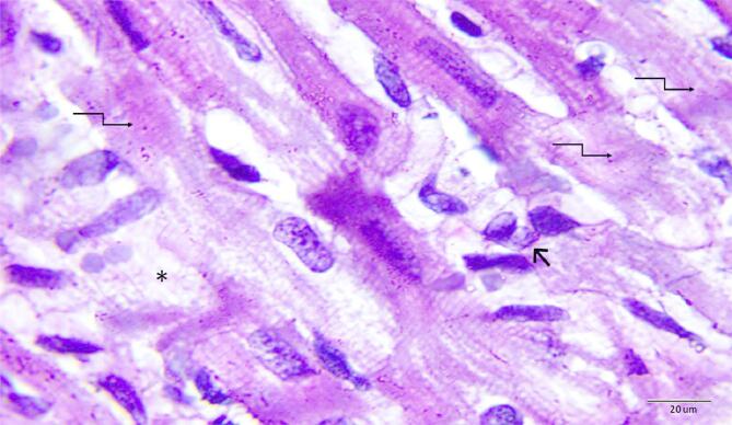 Fig. 7