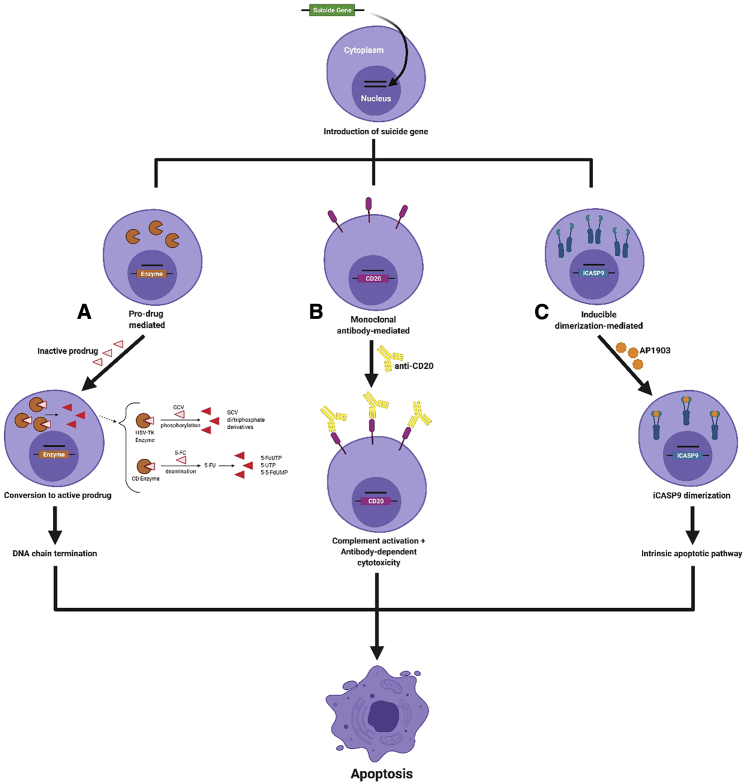 Figure 1