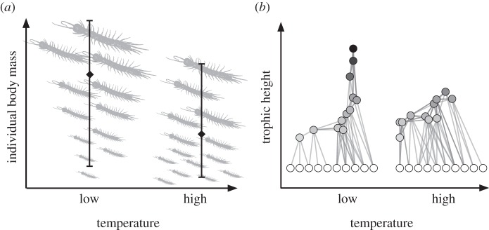 Figure 4.