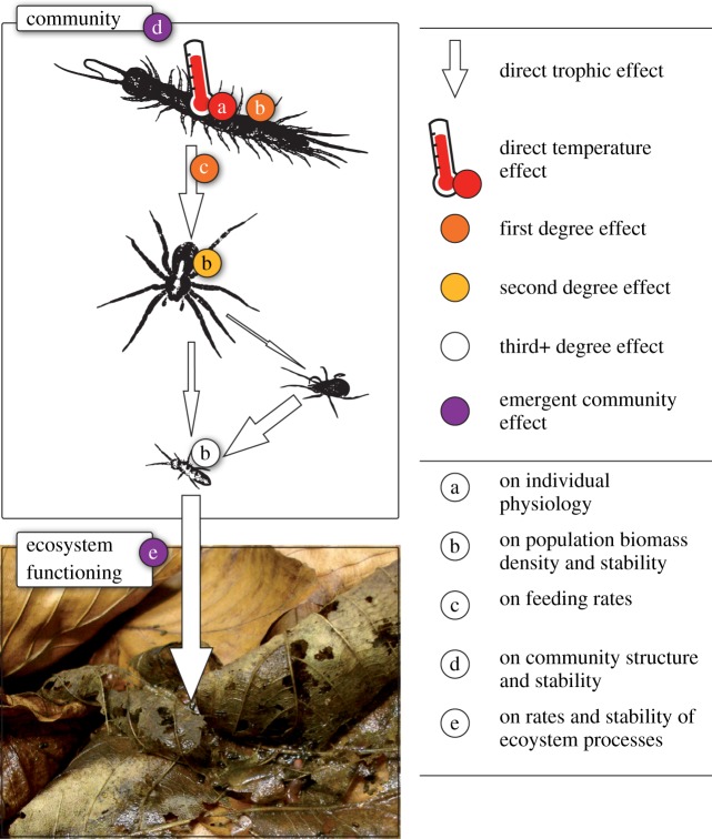 Figure 1.