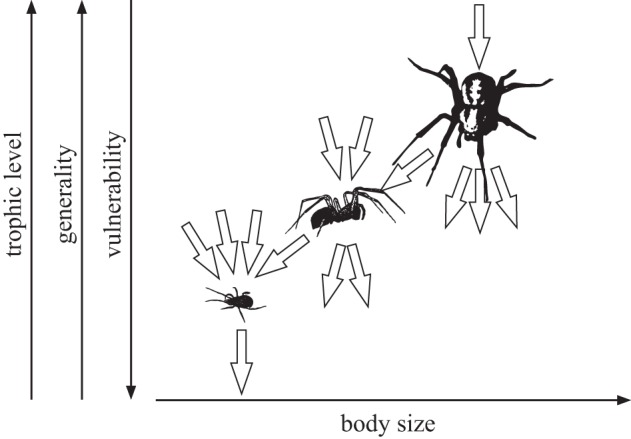 Figure 3.