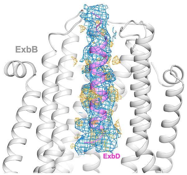 Extended Data Figure 5