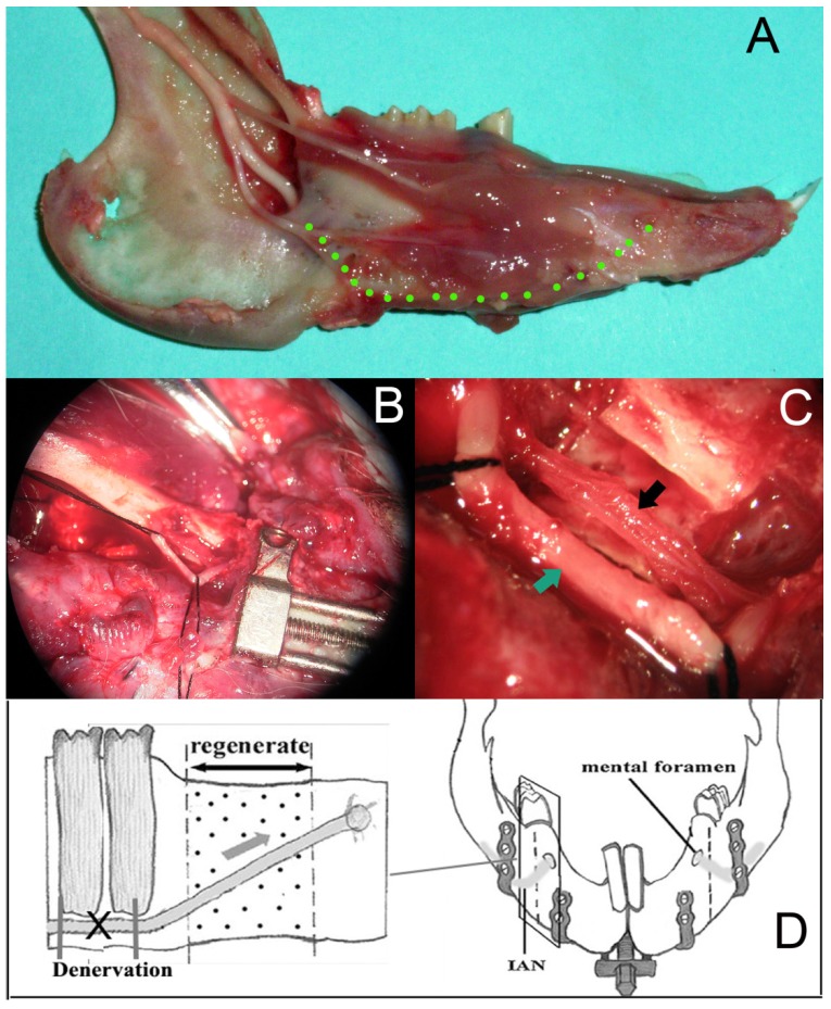 Fig 2