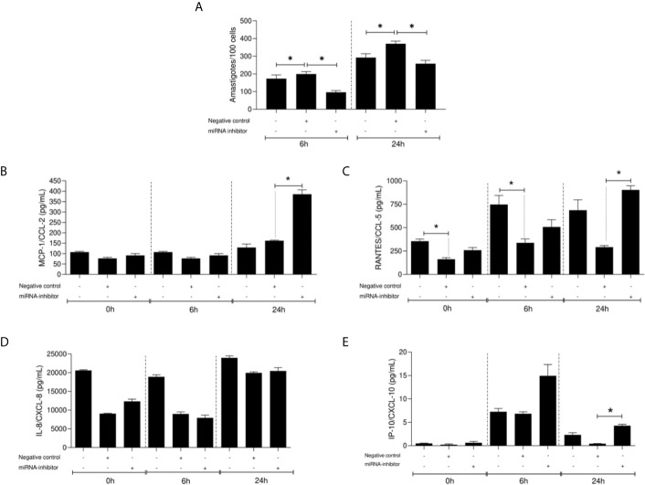 Figure 6