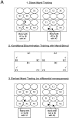 Figure 1A