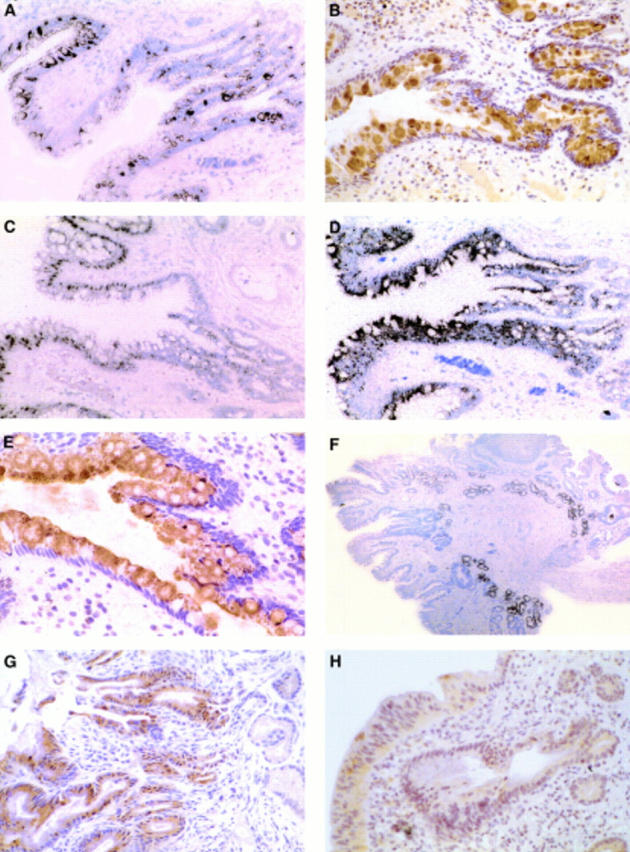 Figure 2  