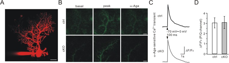 Fig. S6.