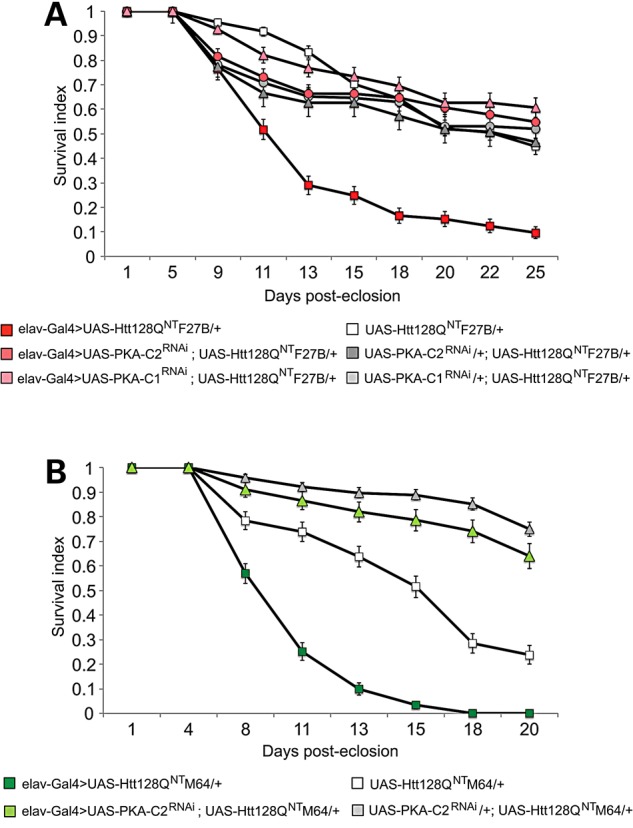 Figure 5.