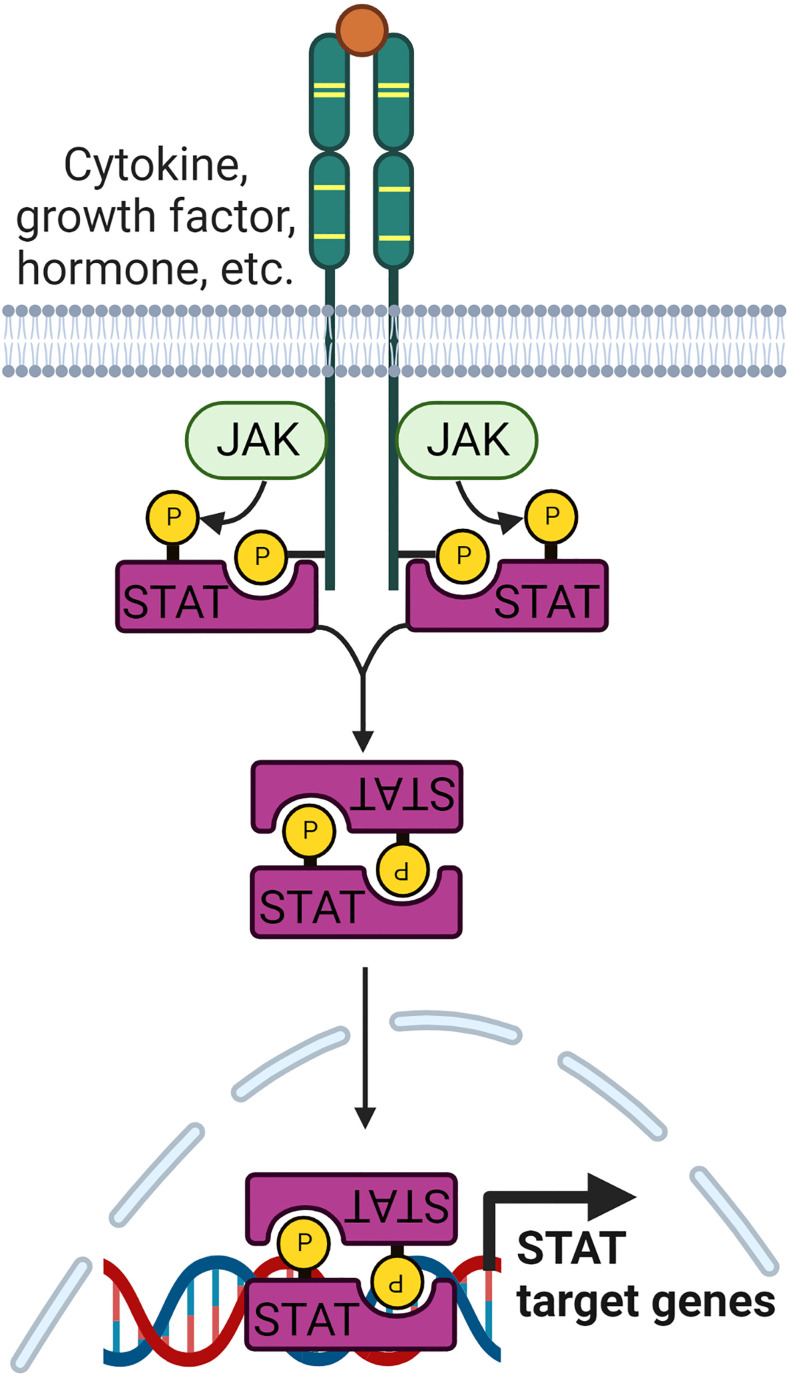 Figure 2