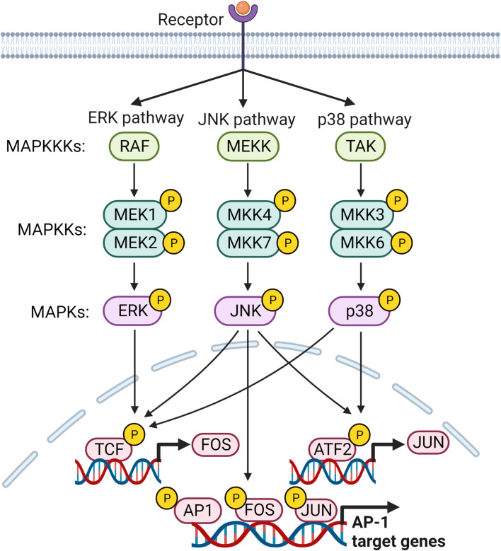 Figure 3