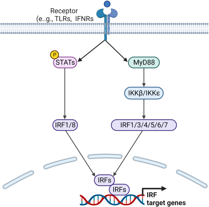 Figure 4