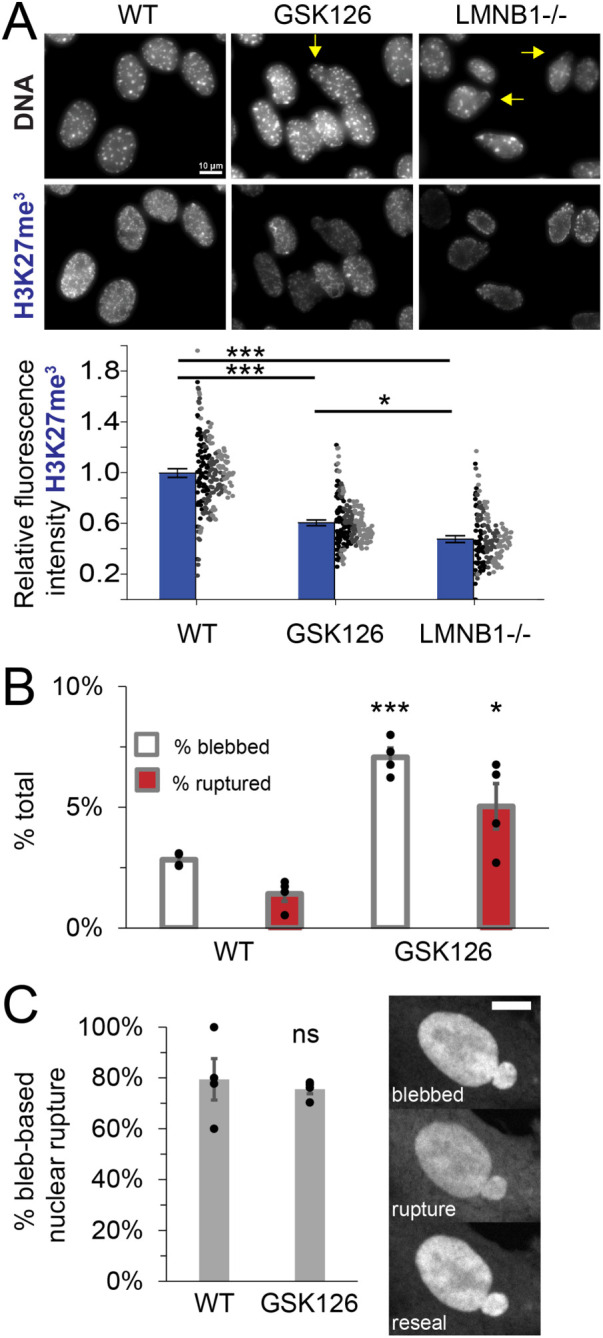 FIGURE 5: