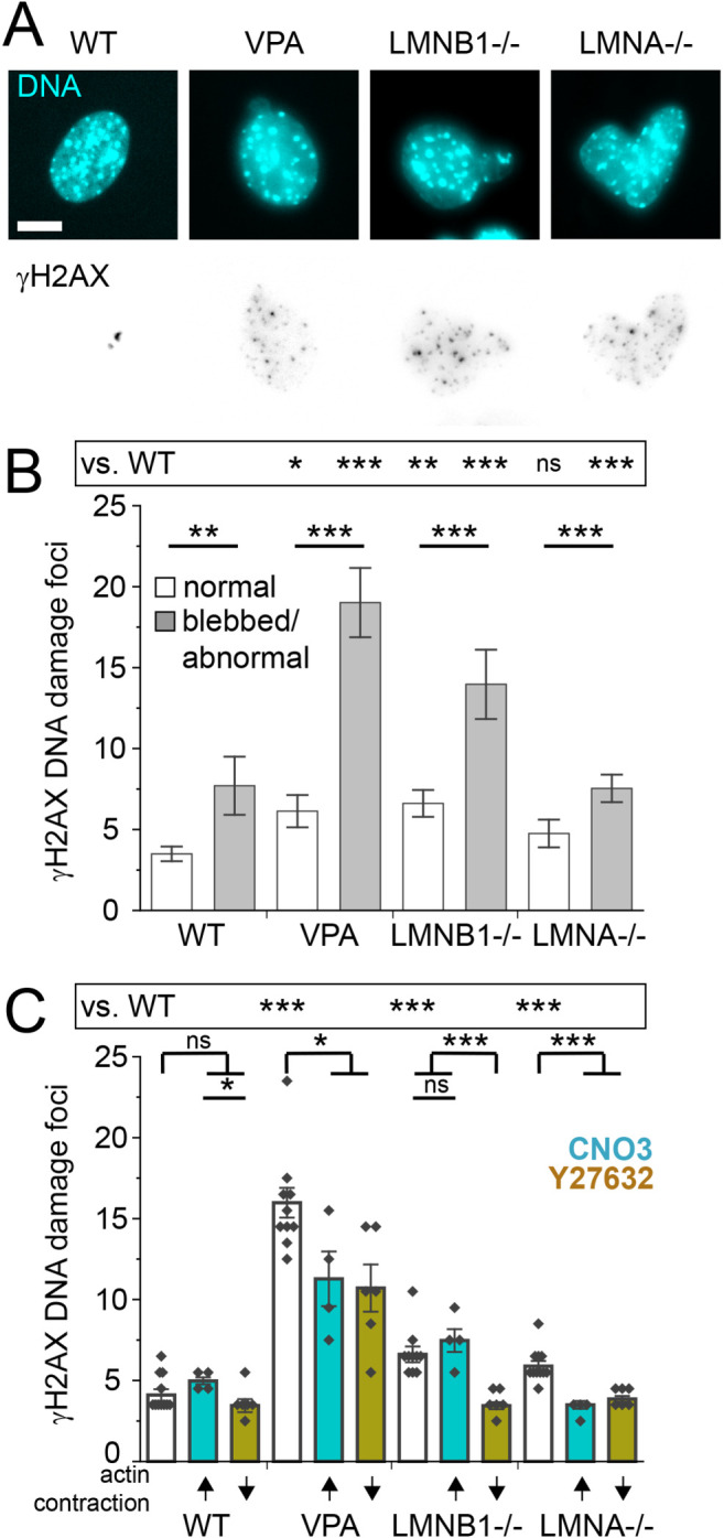 FIGURE 4: