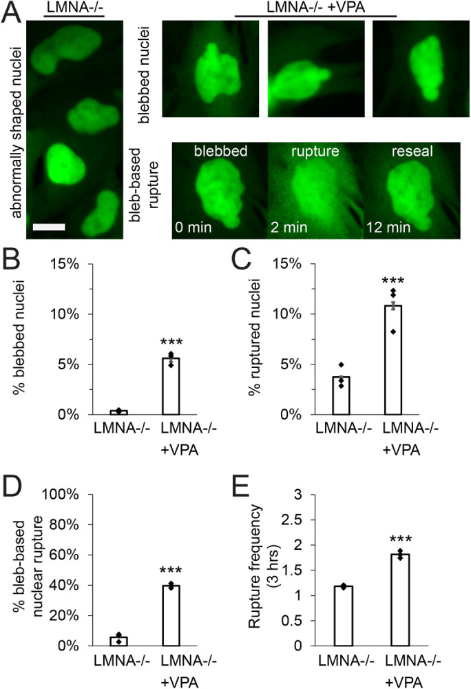 FIGURE 6: