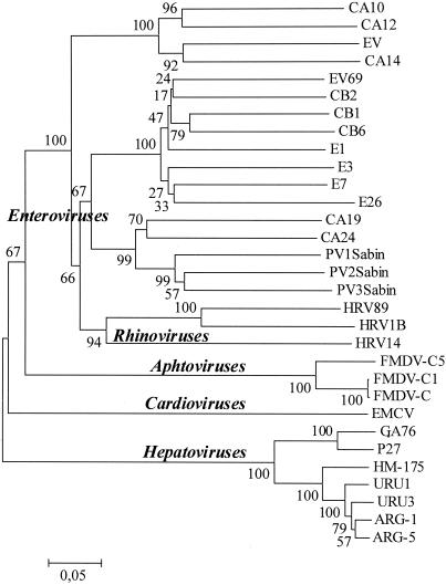 FIG. 1.