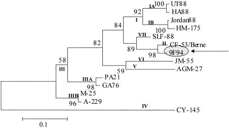 FIG. 3.