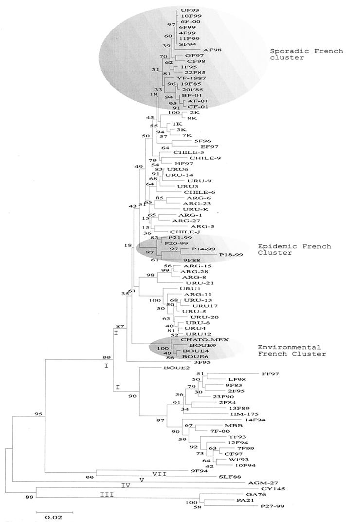 FIG. 2.