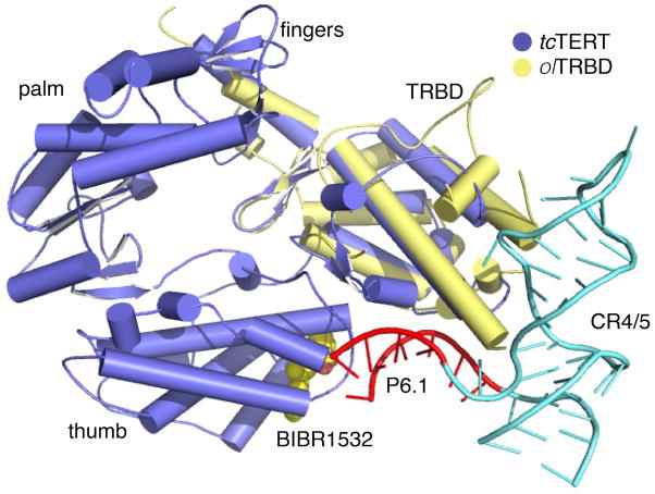 Figure 7