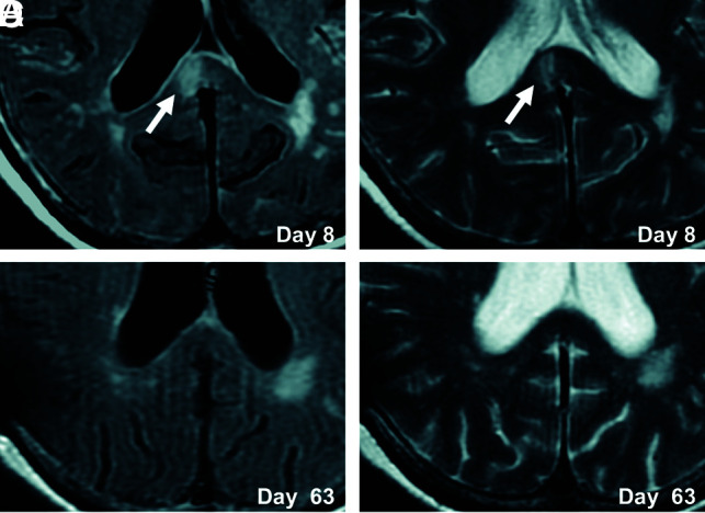 FIG 3.